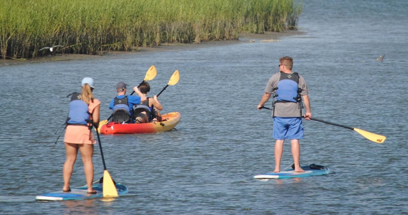 24 Hour Paddleboard Rentals