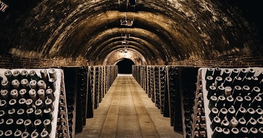 Wine Tasting & Cultural Tour at Barcelona Discovery Cellars