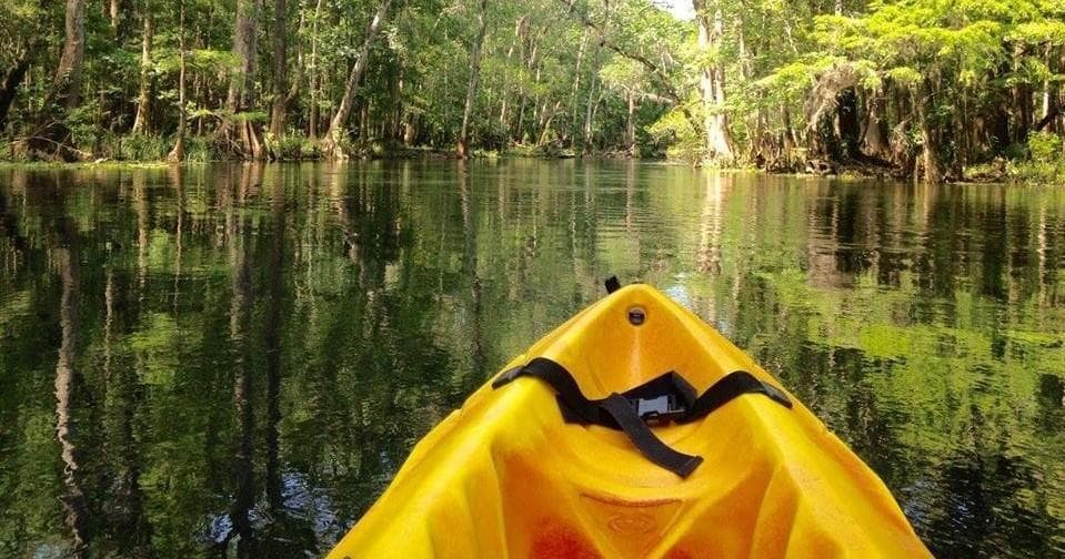 Boat Tour in Williston, Florida