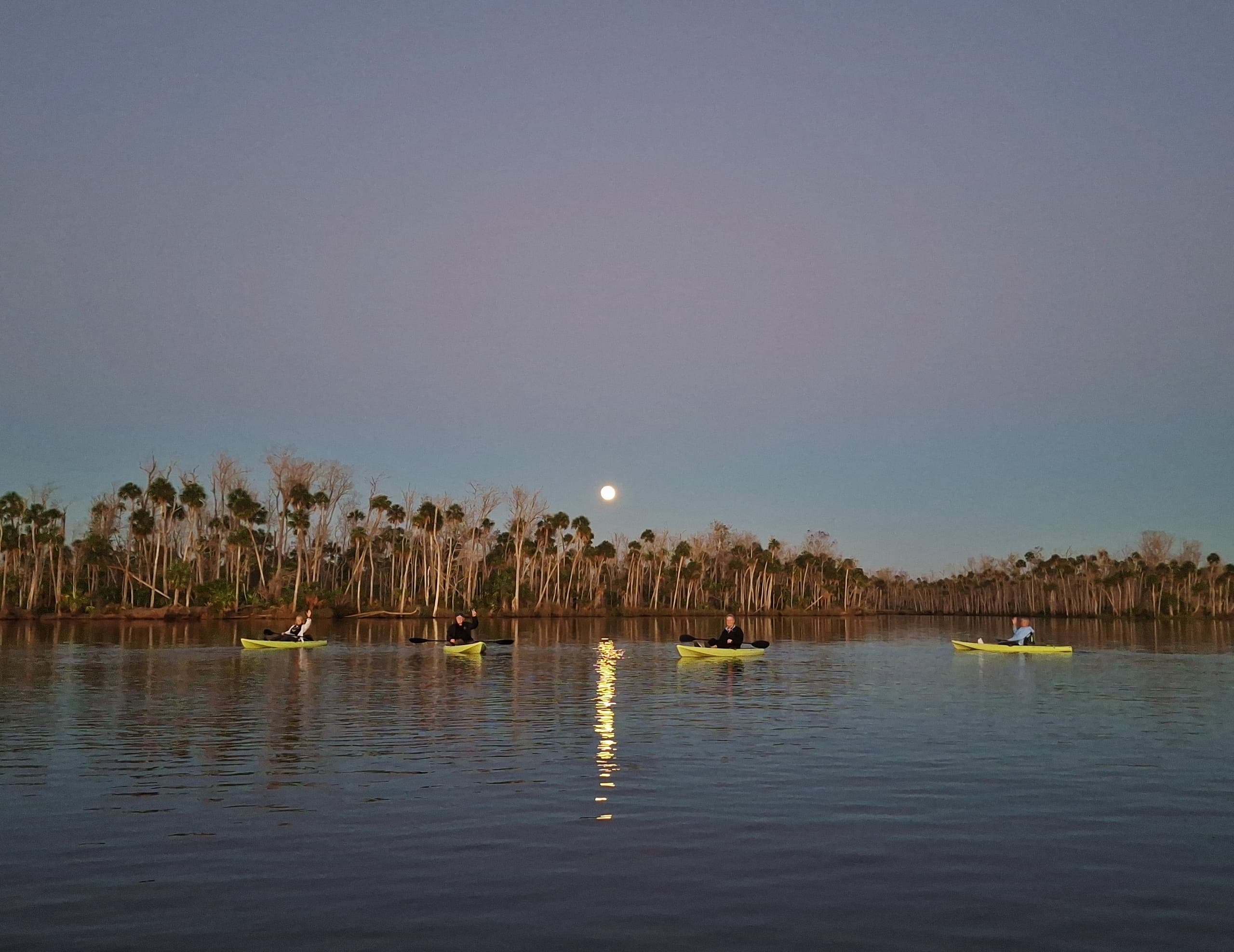 Water Activities & Nature Coast Eco Tours: Moonlit Kayak Adventure