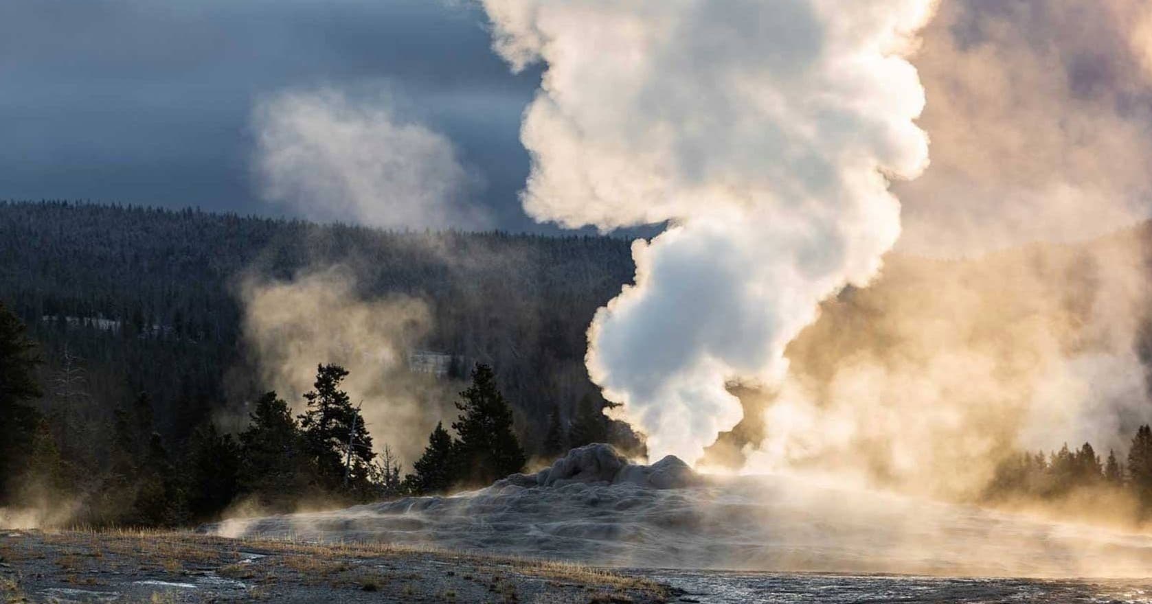 Yellowstone Wilderness & Wildlife Tour with BrushBuck Wildlife Tours Inc.