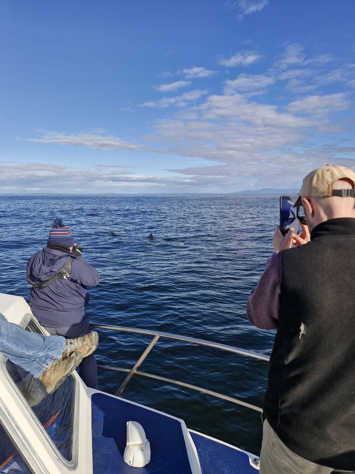 Shark & Tuna Fishing from Killybegs: M.V. Meridian Wildlife Tour
