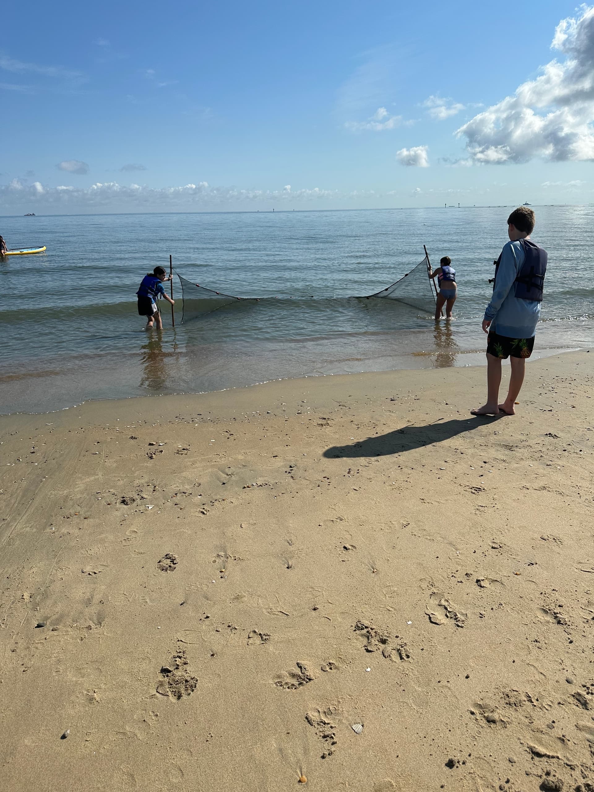Marine Biology Adventure with Ebbing Tides Eco Tours