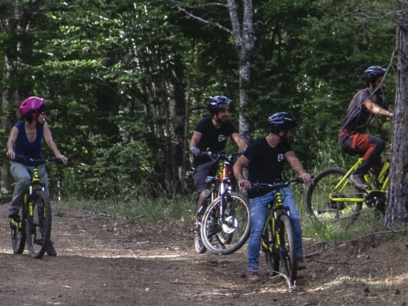 Mountain Biking in Sila Calabrese with Orme nel Parco
