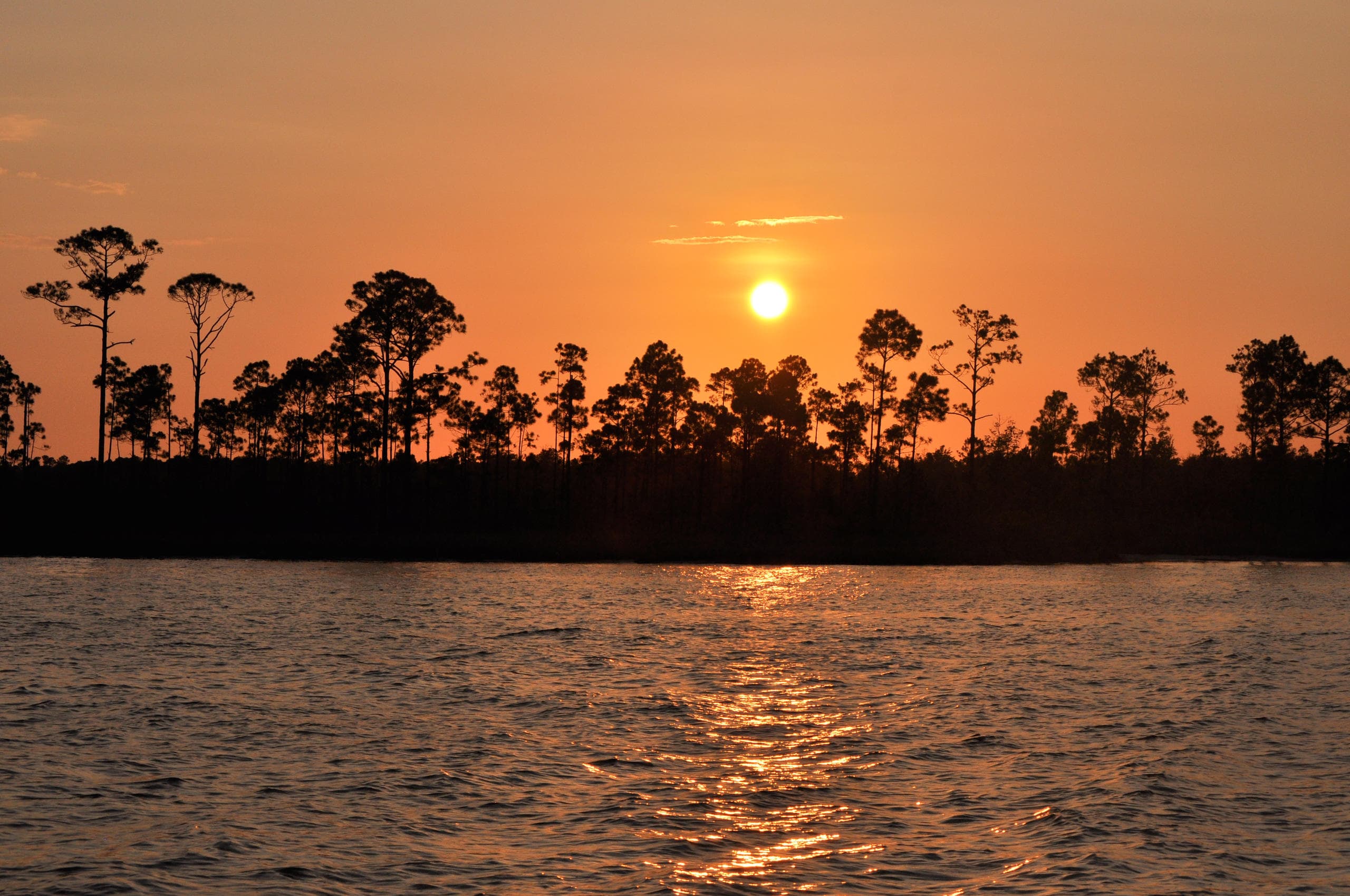 Sunset over Orange Beach marshland with silhouetted trees