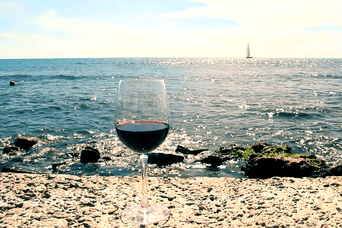 Sailing & Wine Tasting in Alella with BDA Sailling