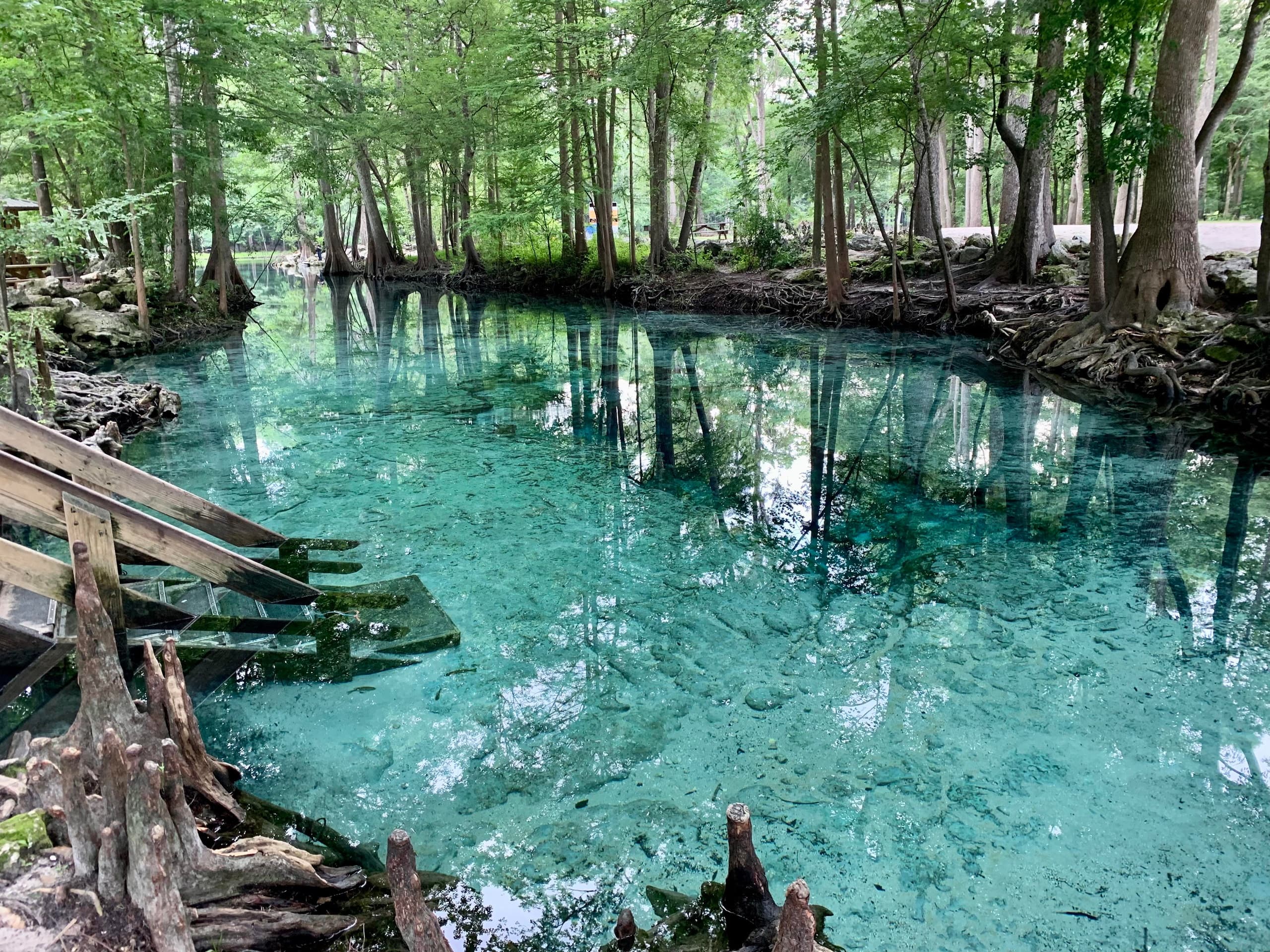 Exploring Ginnie Springs Outdoors: Freshwater Cave Dives at High Springs, Florida