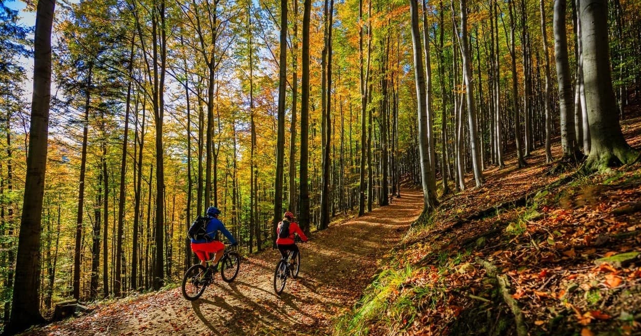 Mountain Bike Rentals with Azores Nature Tours in Ilha Terceira