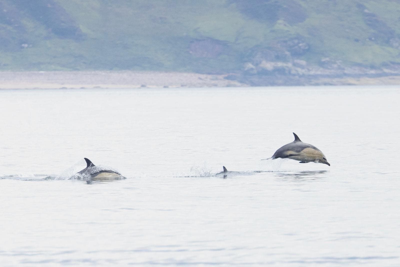 Kayaking on Loch Gairloch with Glendale Boat Hire