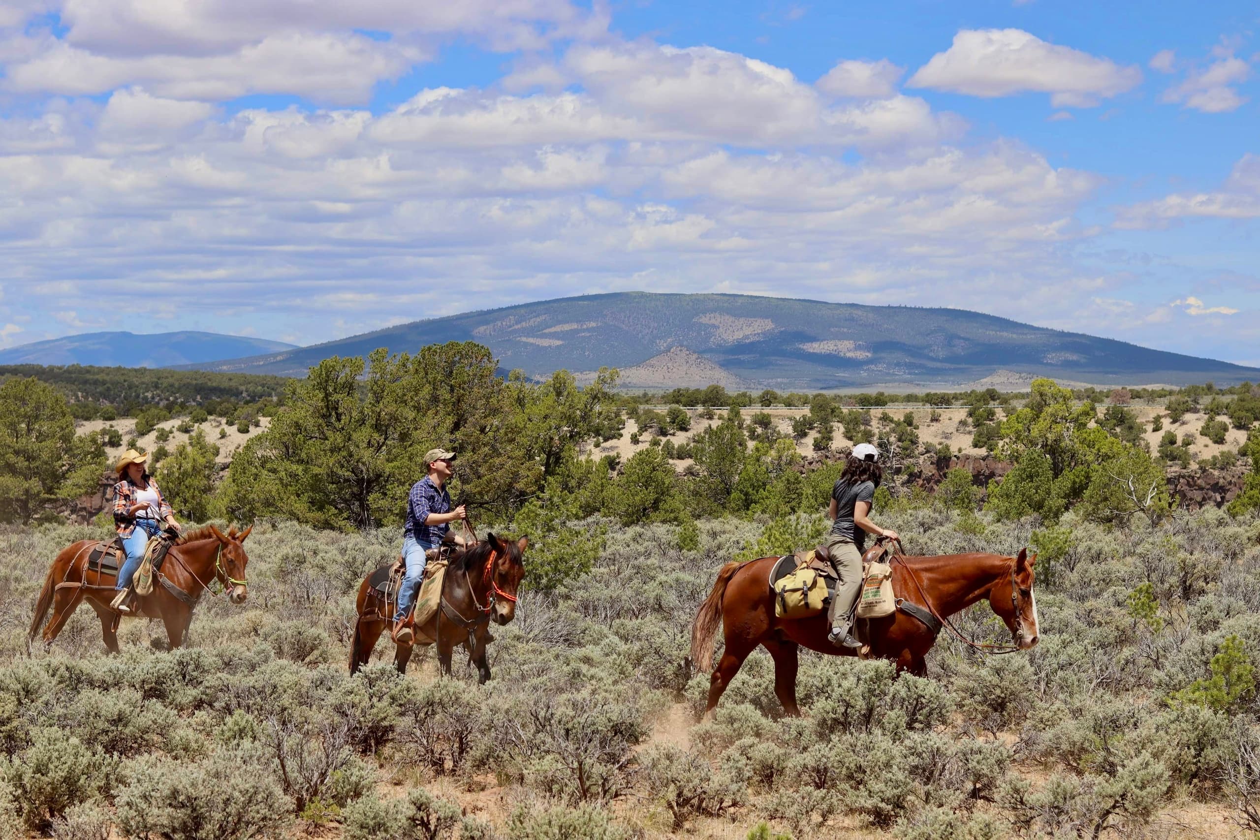 Half-Day Ride & Picnic at Cebolla Mesa, New Mexico