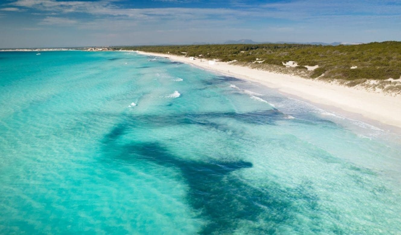 Water Activities: Ocean Charter Mallorca Offers a Complete Marine Adventure