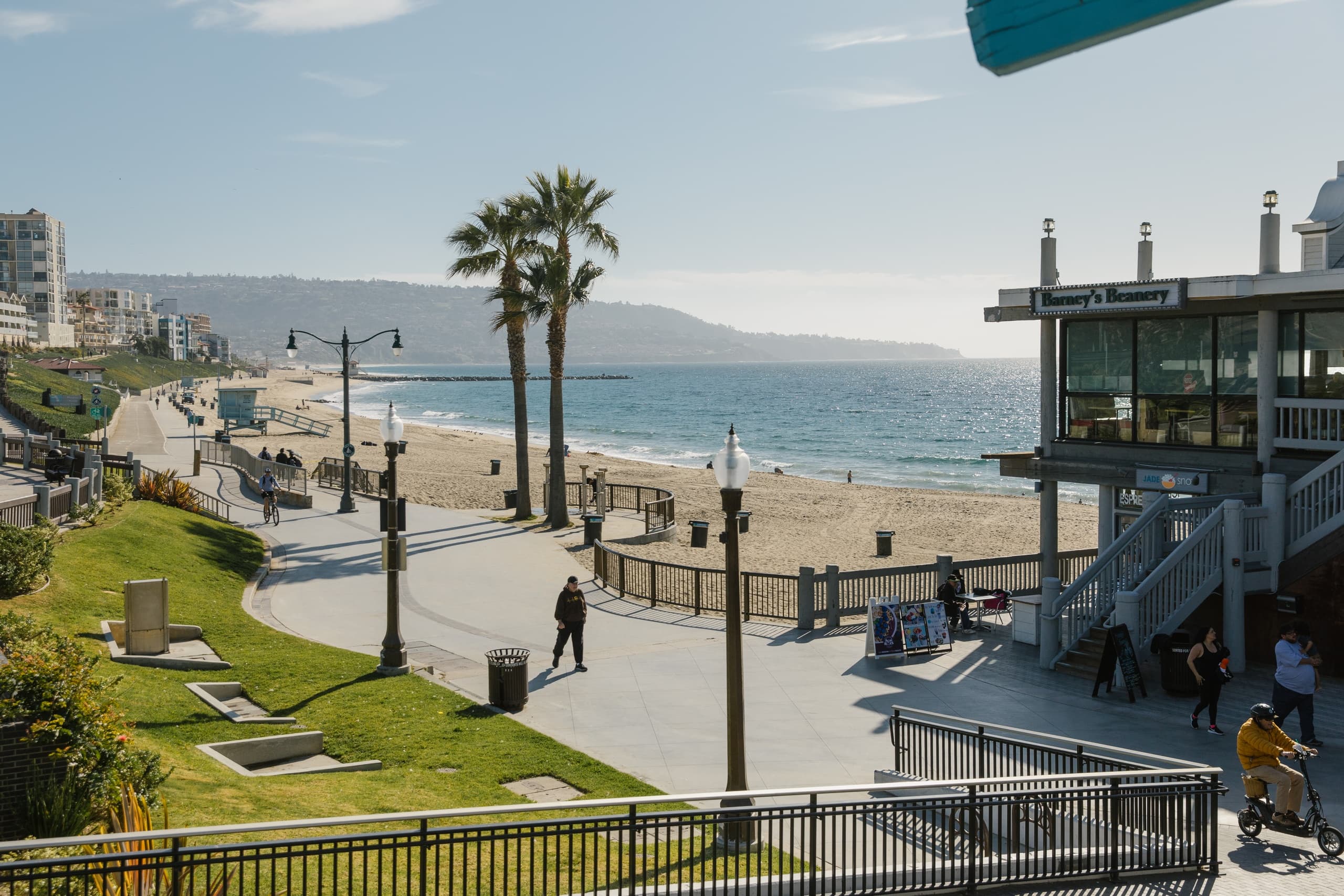 Beach promenade with palm trees and ocean view, scenic bike route