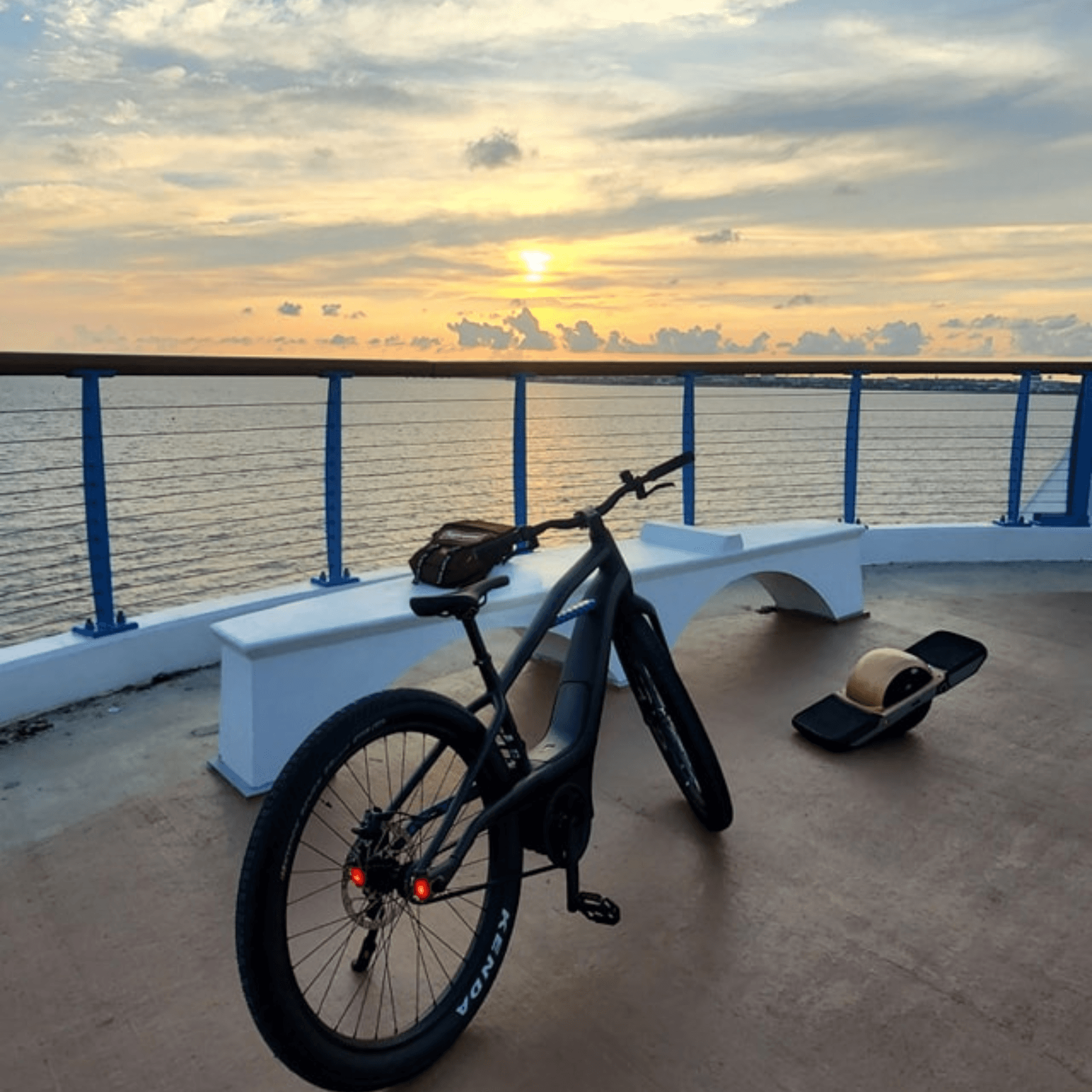 Pensacola Bay Sunset Dolphin Tour with Cycle Joint