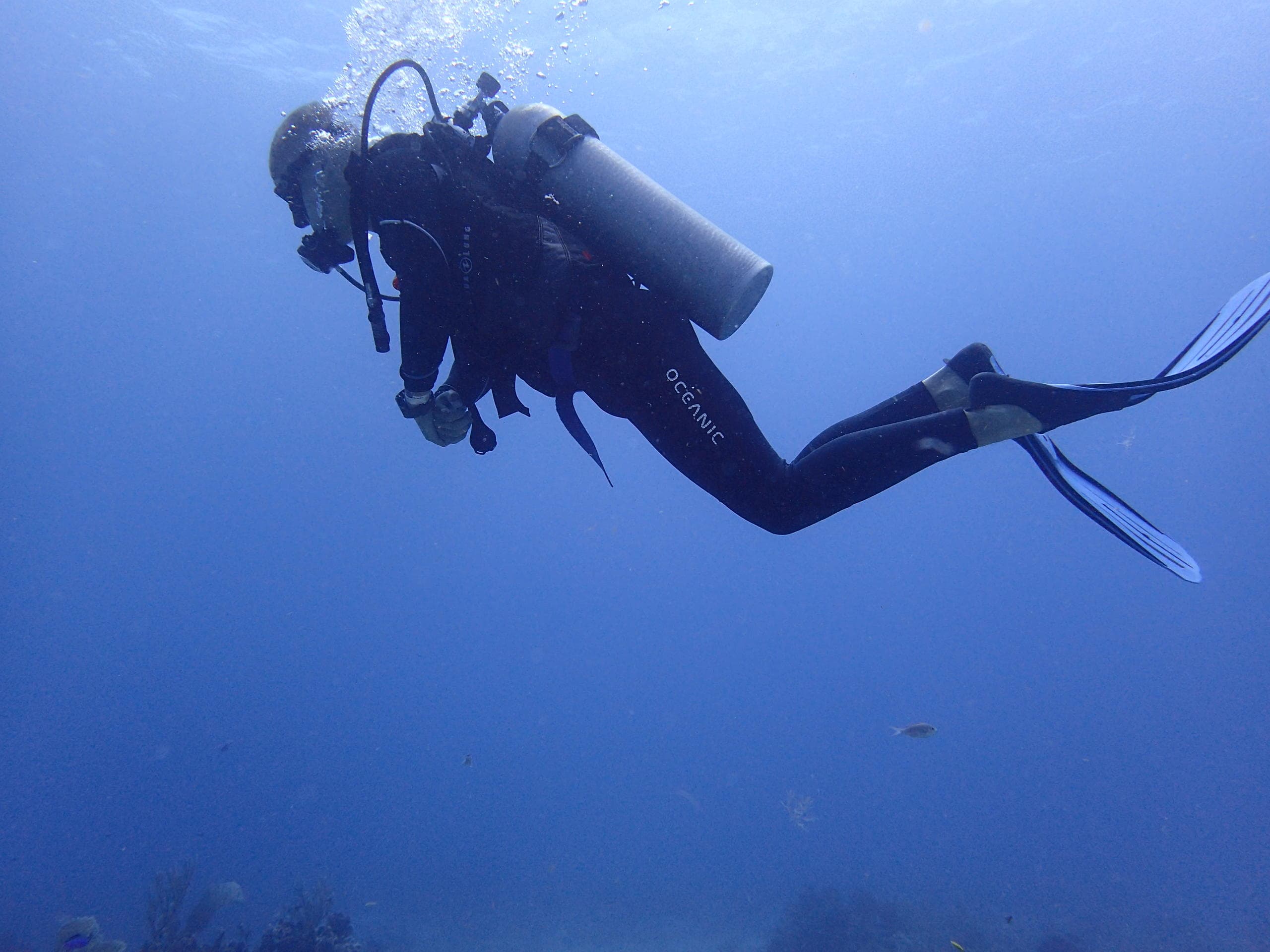 Discover Scuba Diving with Aquanauts Dive Adventures in Puerto Morelos