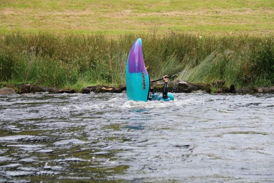 Kayaking Tailies with Squiggly Adventures in Menai Bridge