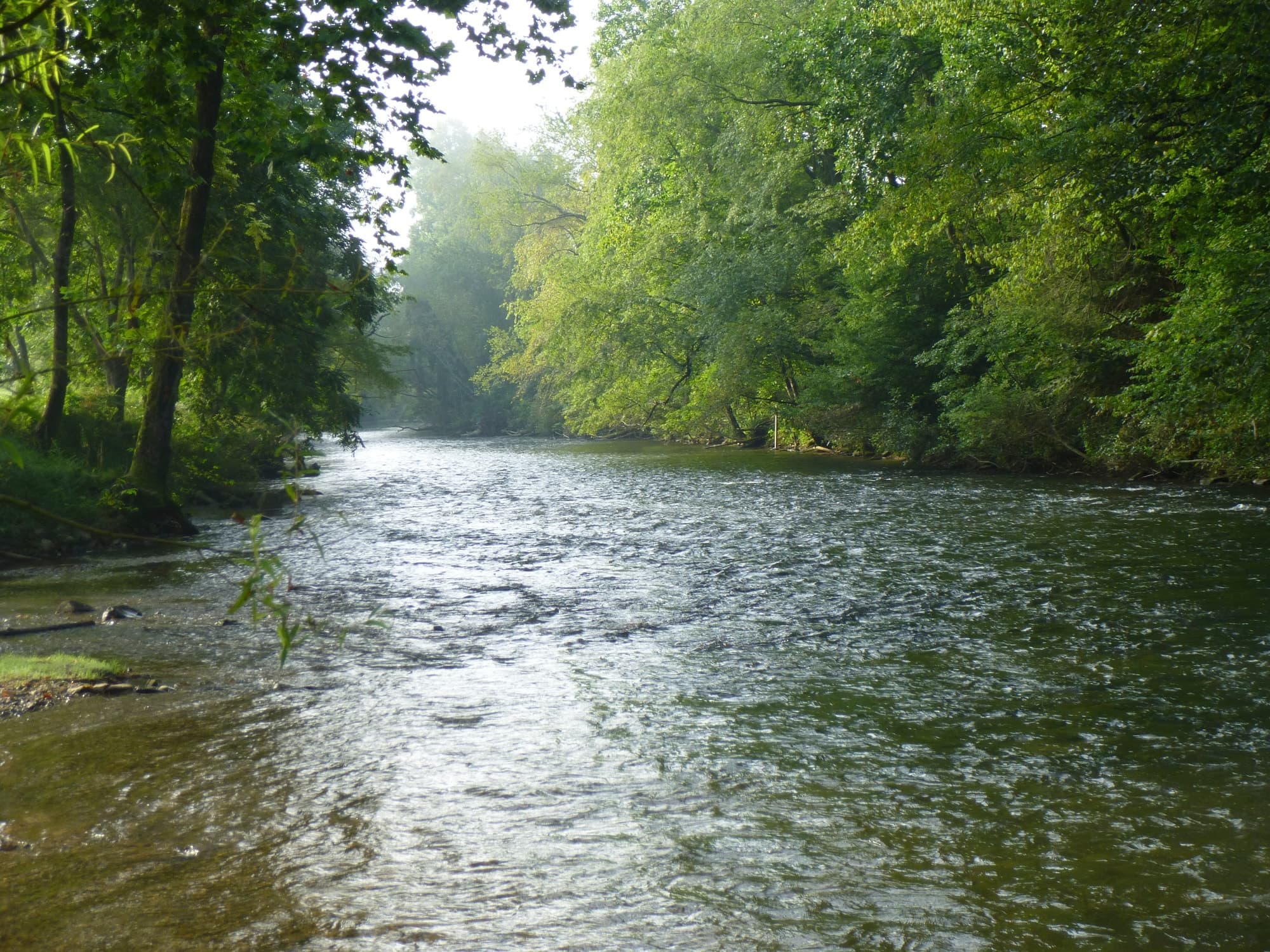 Relaxing River Tubing with Beer City Tubing in Arden