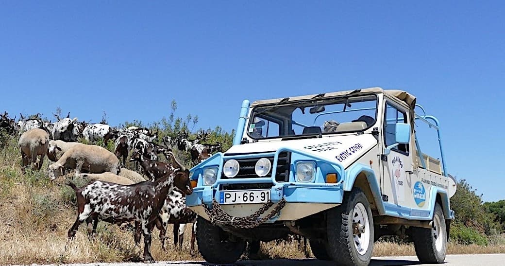 Off-Road Safari Adventure with Transguadiana in Algarve