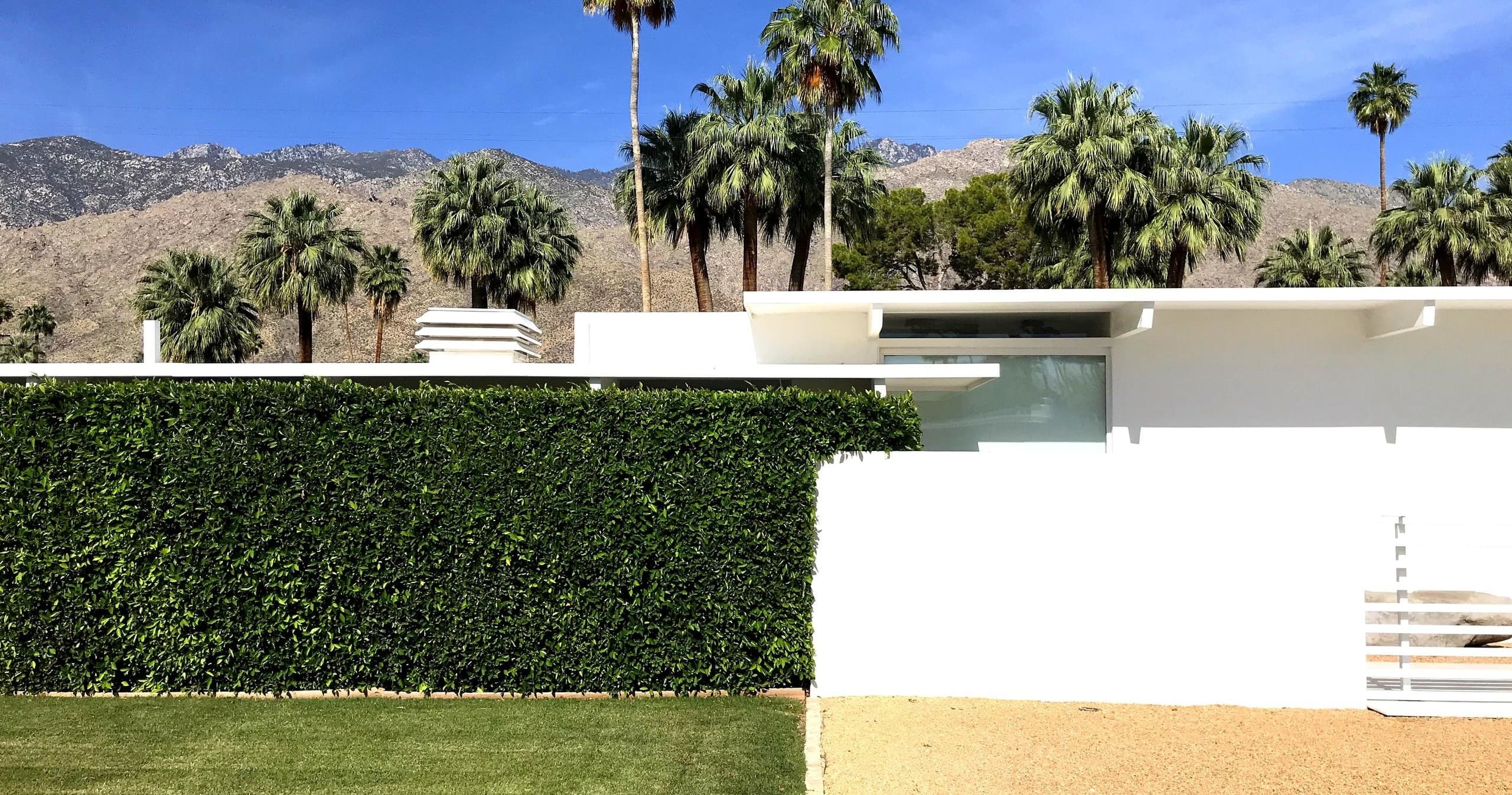 Mid-Century Modern Tours with Palm Springs Mod Squad