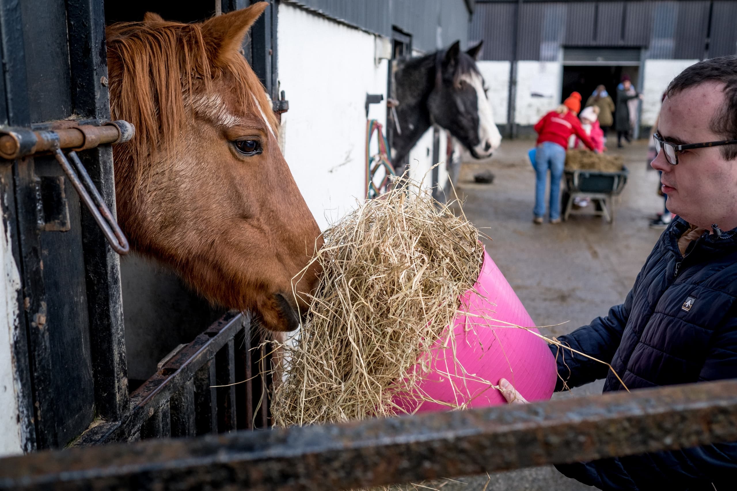 Land Adventures in Derry: Irish Farm & Horse Rides with City of Derry Farm & Equestrian Centre