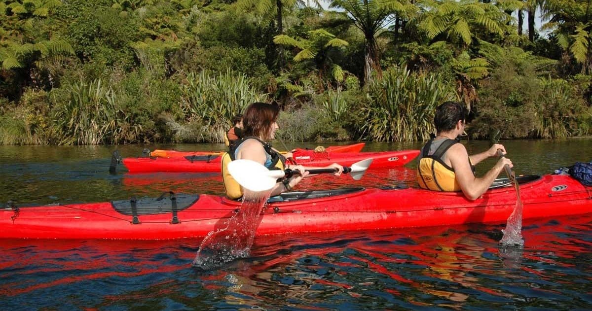 Two kayakers paddling along lush riverbank with ferns