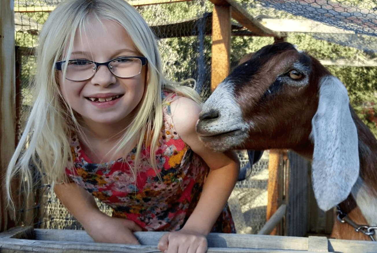 Capybara Farm Parties Near Tucson: Private Events at Ghost Ranch Exotics