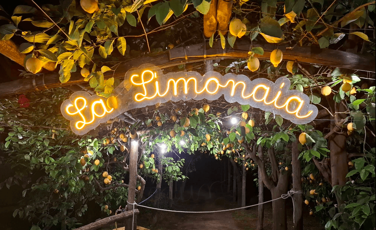 Sorrento Lemon Garden Tour with Lunch or Dinner — Taste the Peninsula photo 2
