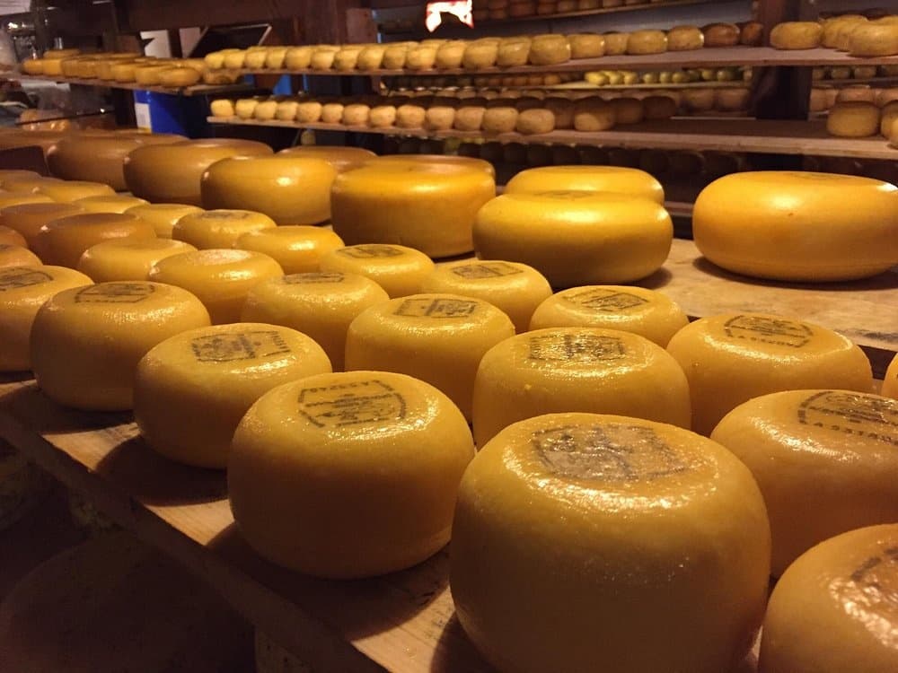 Culinary & Land Adventures with Clara Maria Cheese Farm
