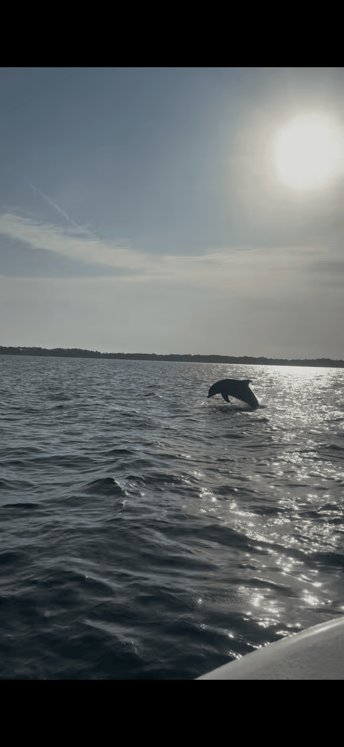 Water Activities & Marine Adventures in 30A