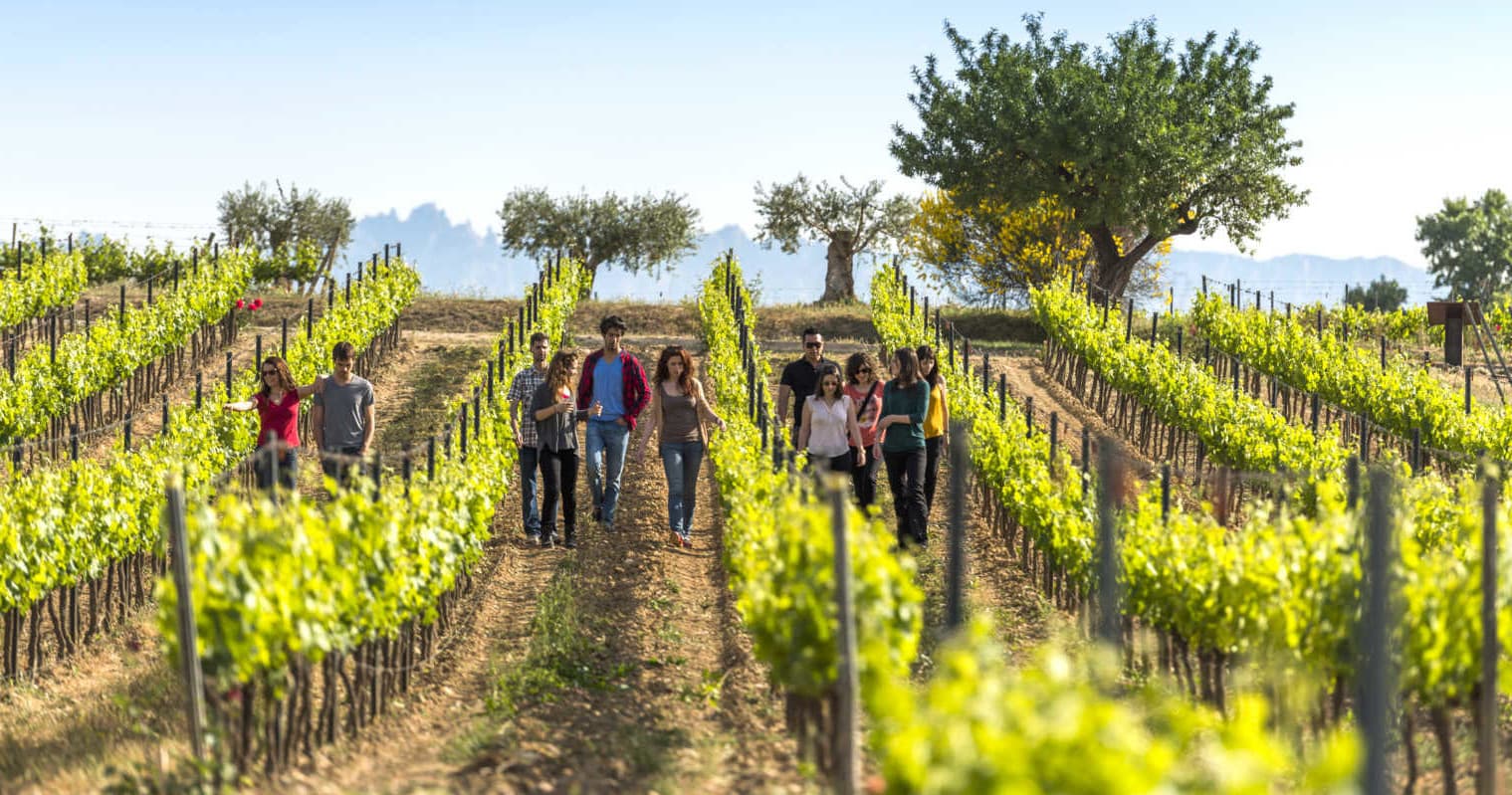Hiking & Wine Tours with Catalan Trails in El Penedès