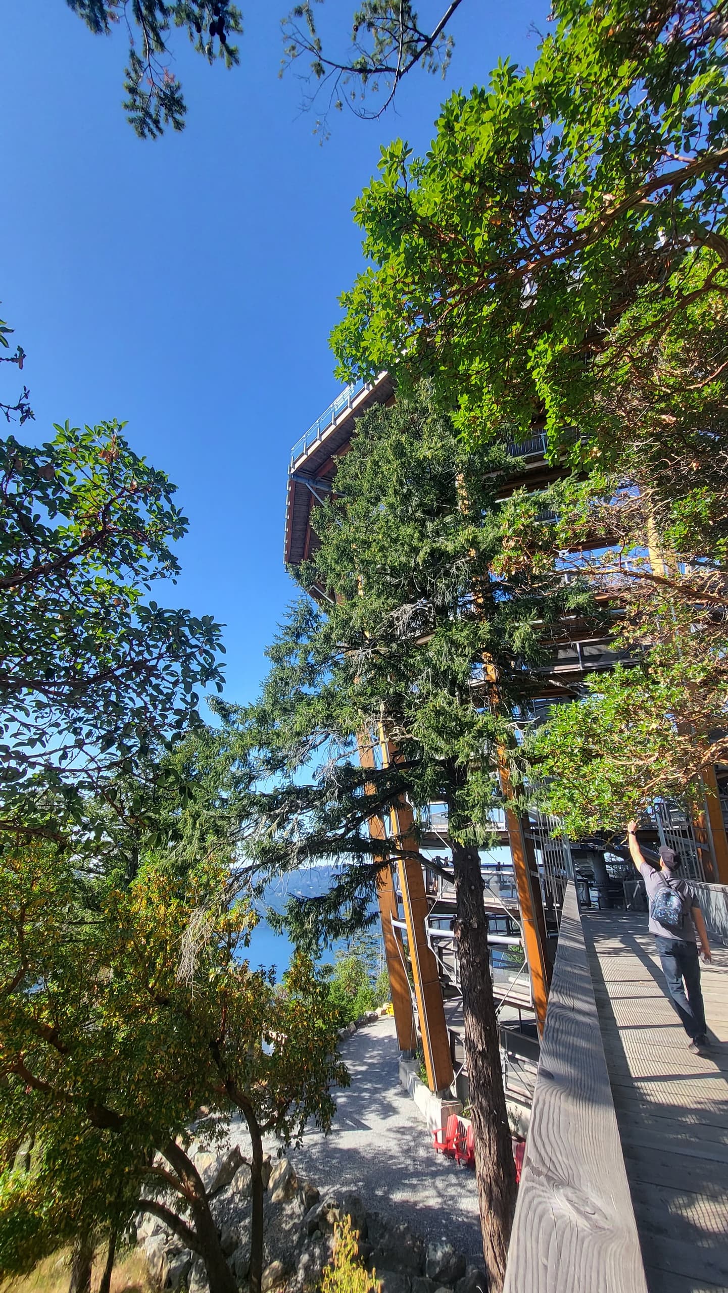Victoria Waterfalls & Skywalk with Tales on Trails