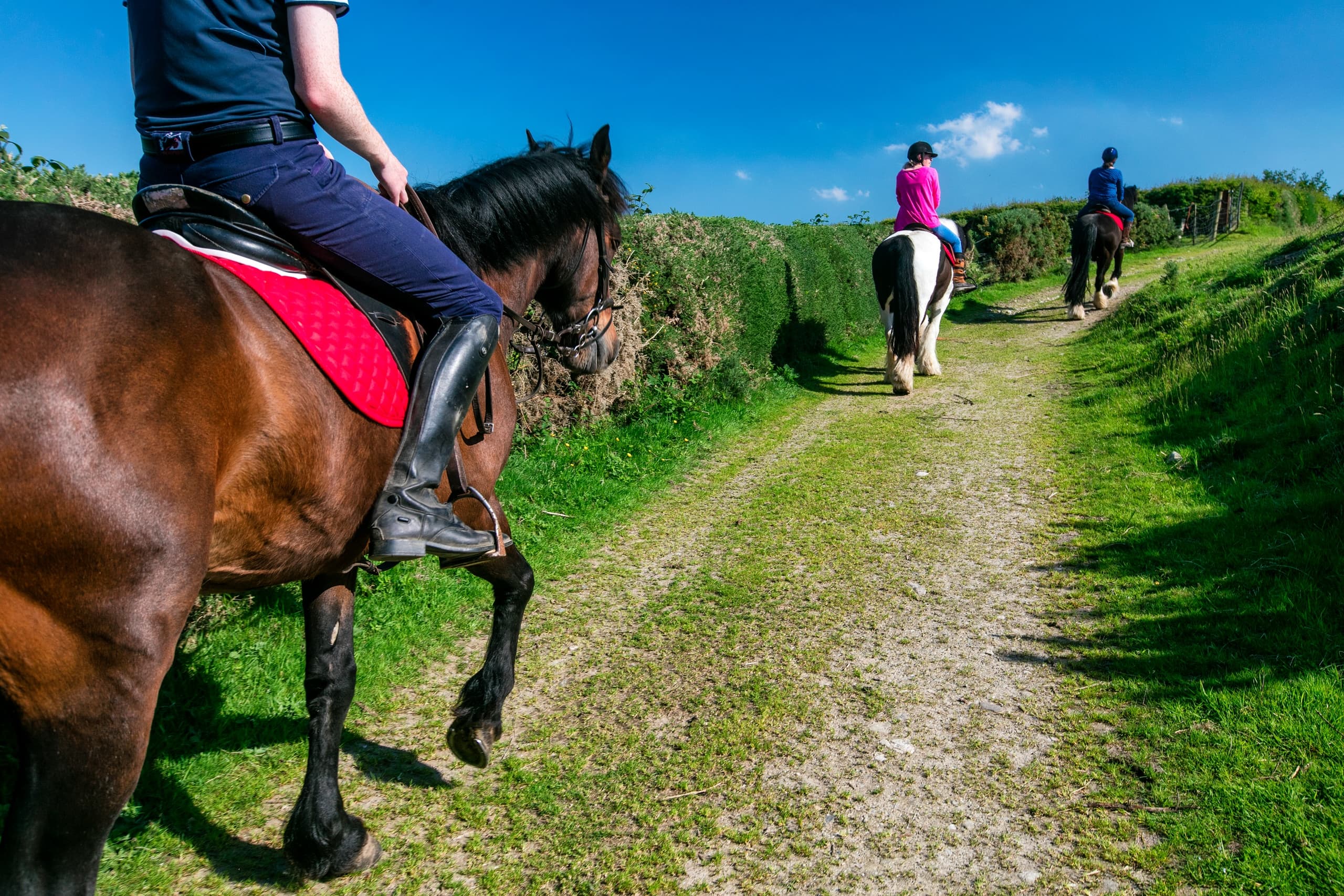 Advanced Horseback Trail Ride at City of Derry Farm