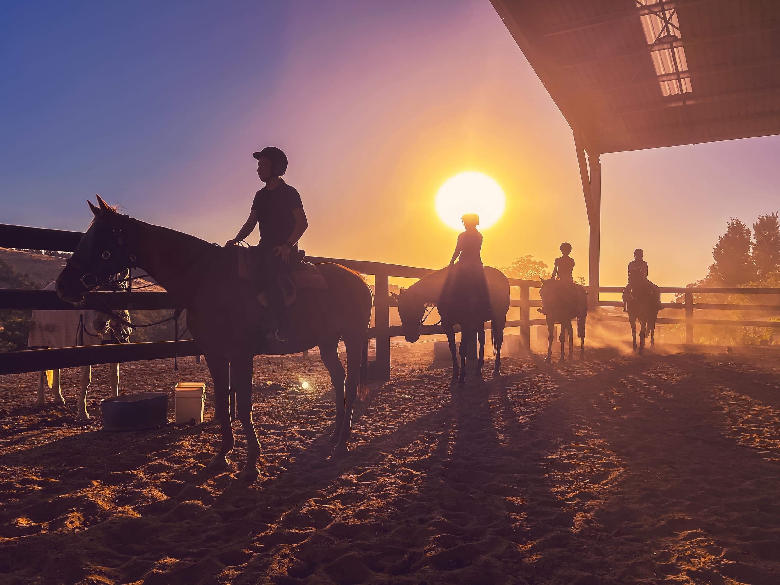 Group Horse Riding Lessons at Jarrahdale Equestrian Centre