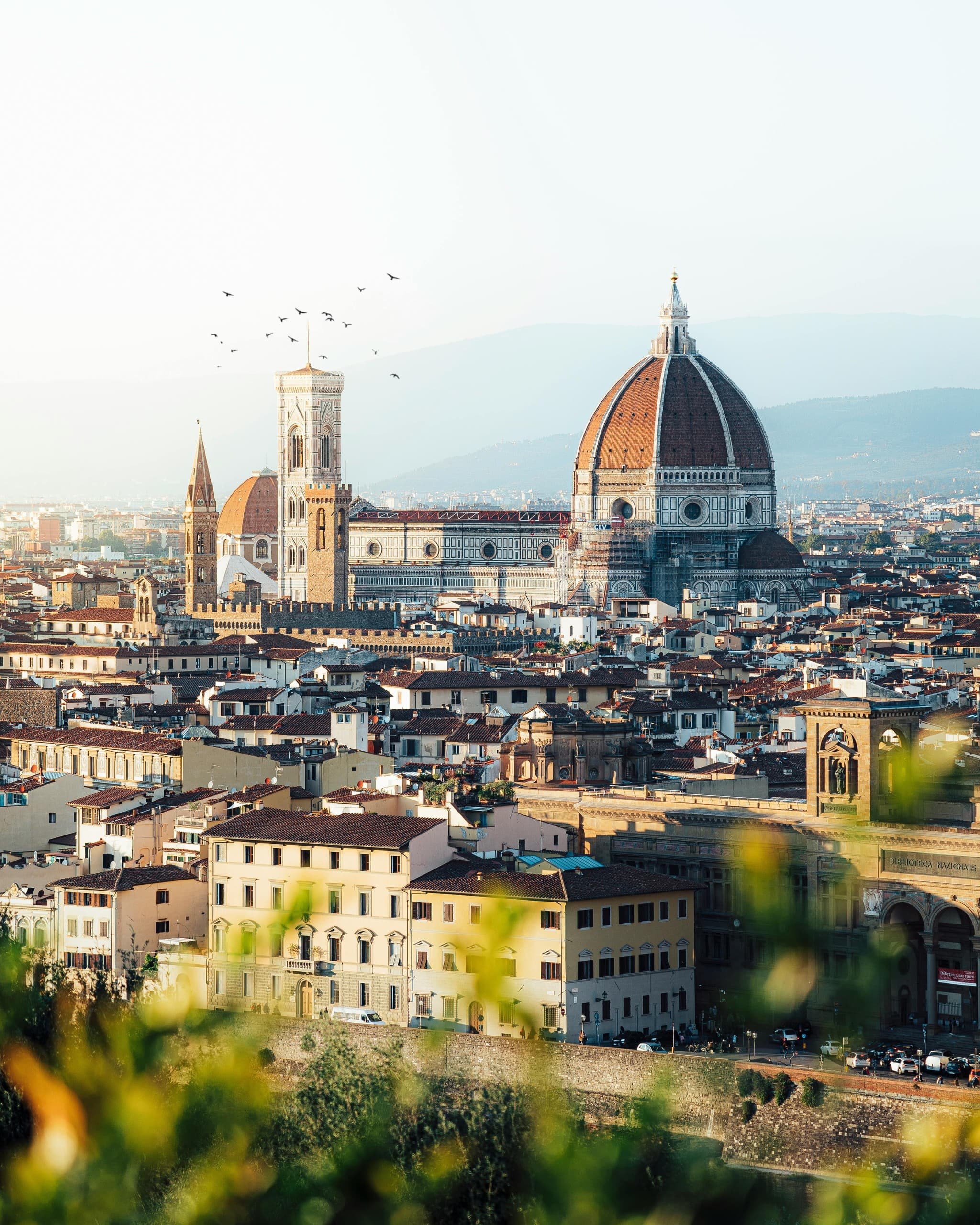 Pisa Airport to Florence Private Transfer – Licensed NCC Chauffeur Service