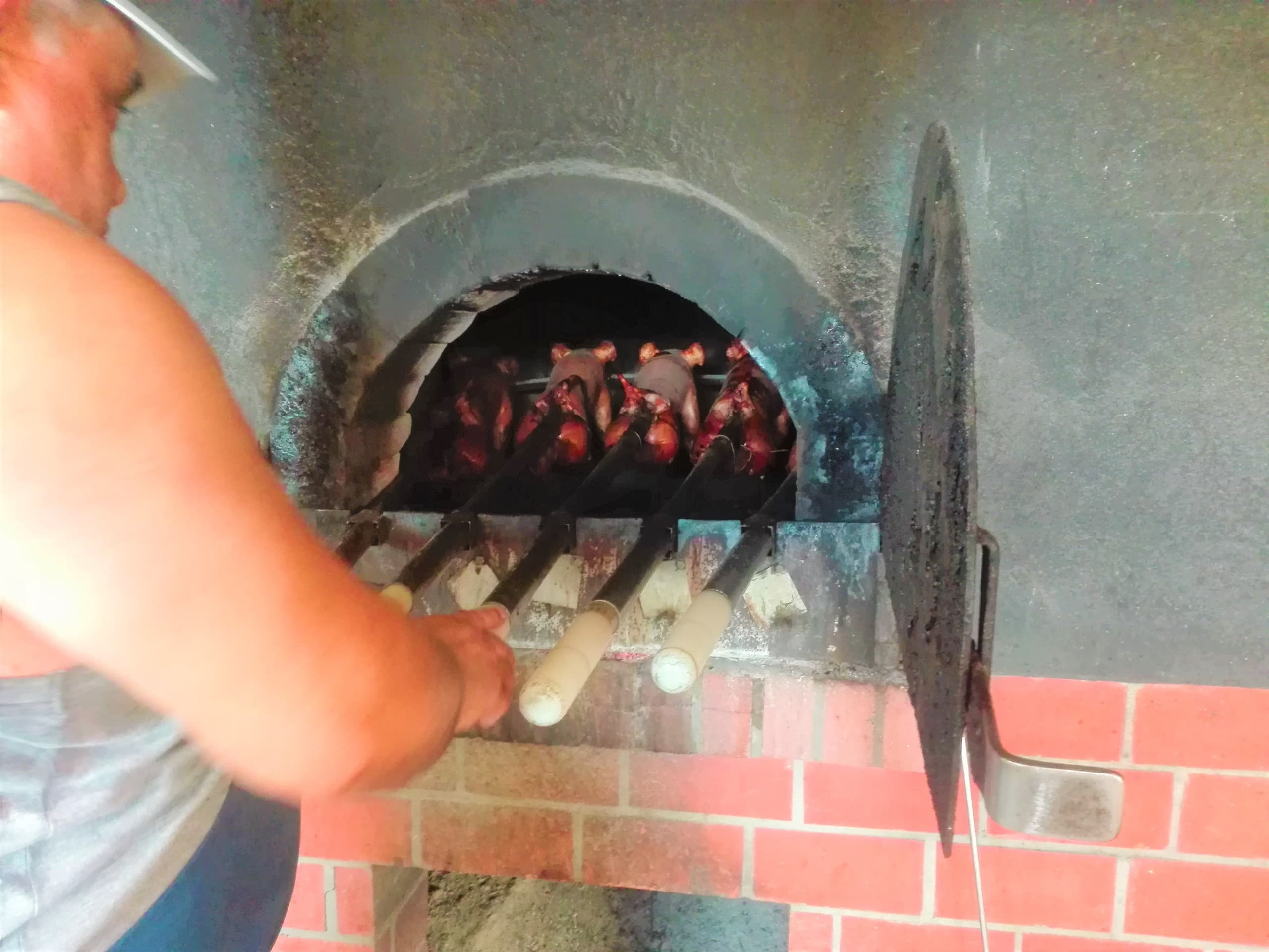 Wine Tasting & Culinary Delights with Viaje Portugal in Coimbra