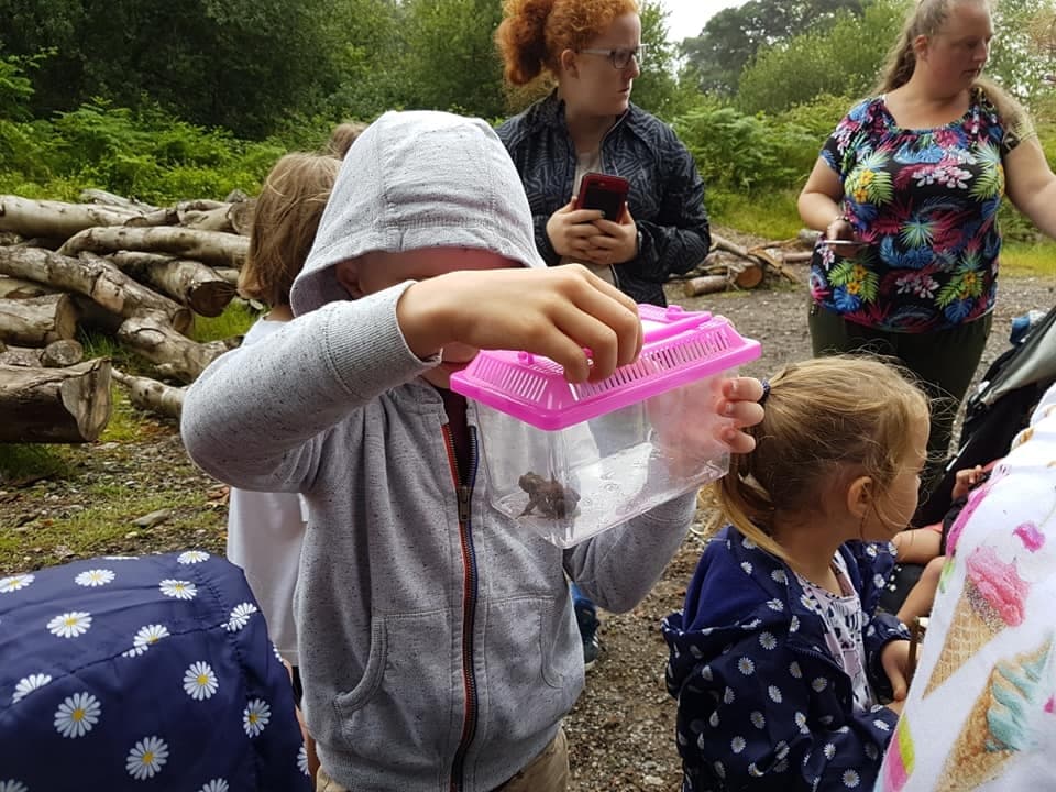 Home Education in Caerphilly: Outdoor Wildlife Sessions for KS1–KS3