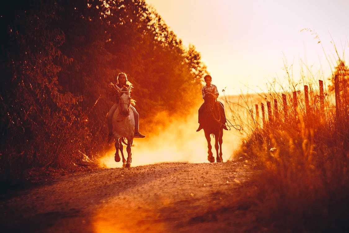 All-Day Horseback Adventure in Almont, Colorado