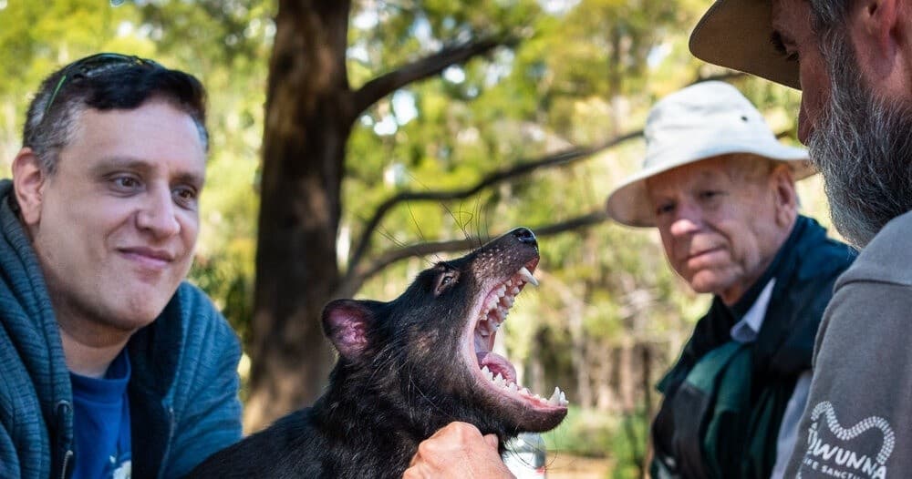 Wildlife Encounters at Trowunna Experience, Tasmania