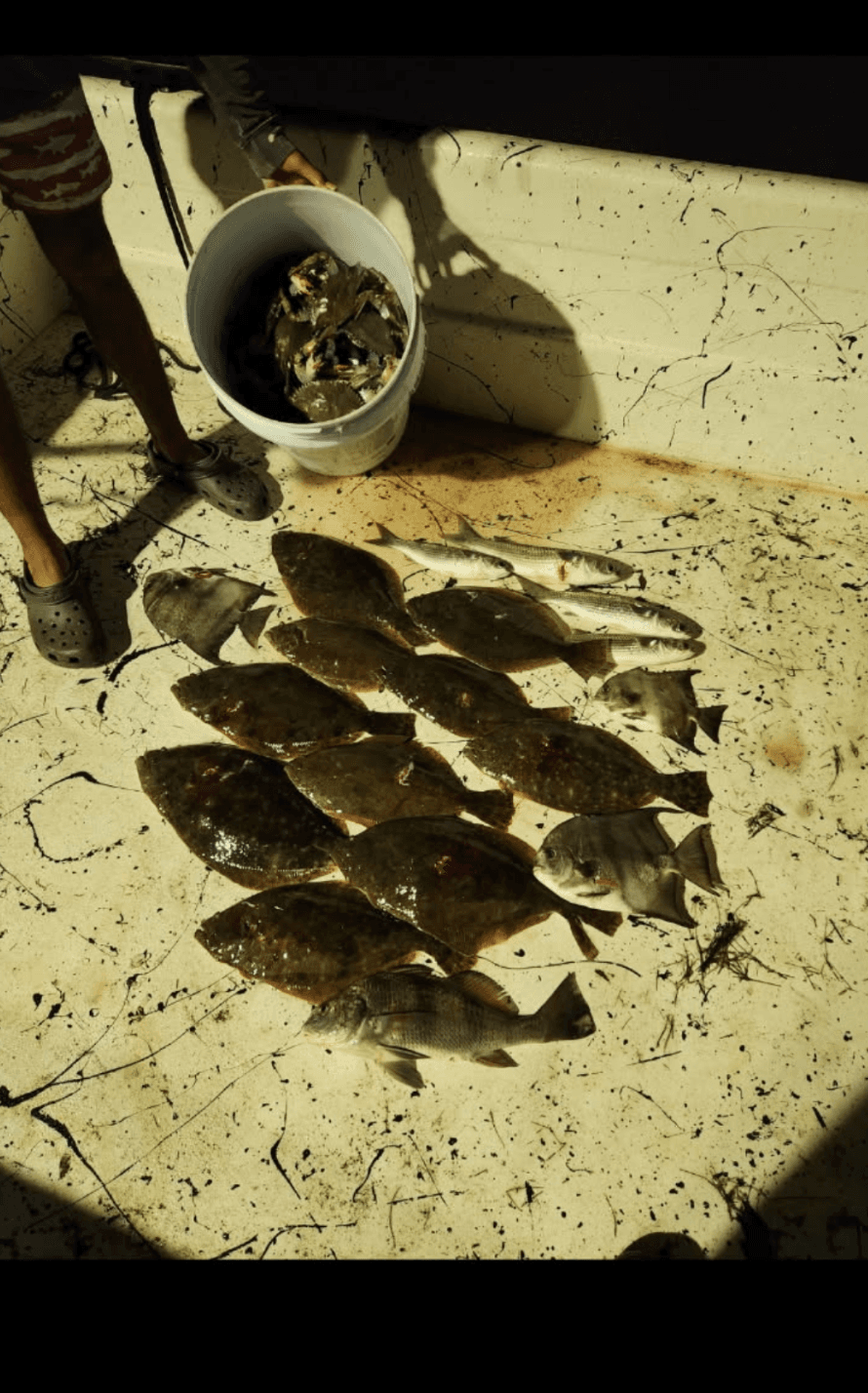Nighttime Bowfishing Adventure with Pensacola Fishing Co.