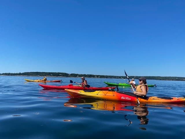 Kayak Adventure at Midcoast Kayak in Muscongus Bay