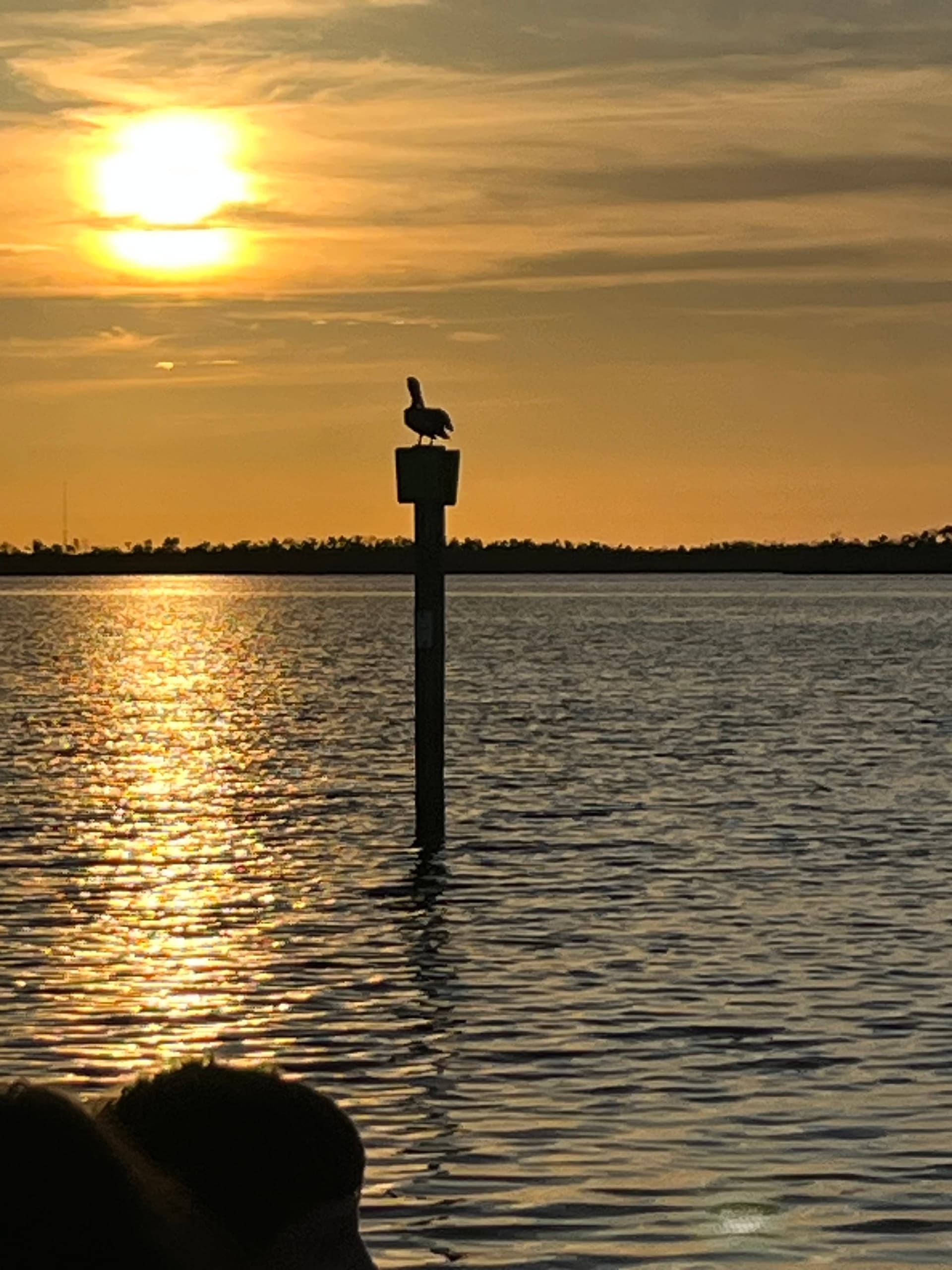 Sunset over calm coastal water with seabird silhouette on post