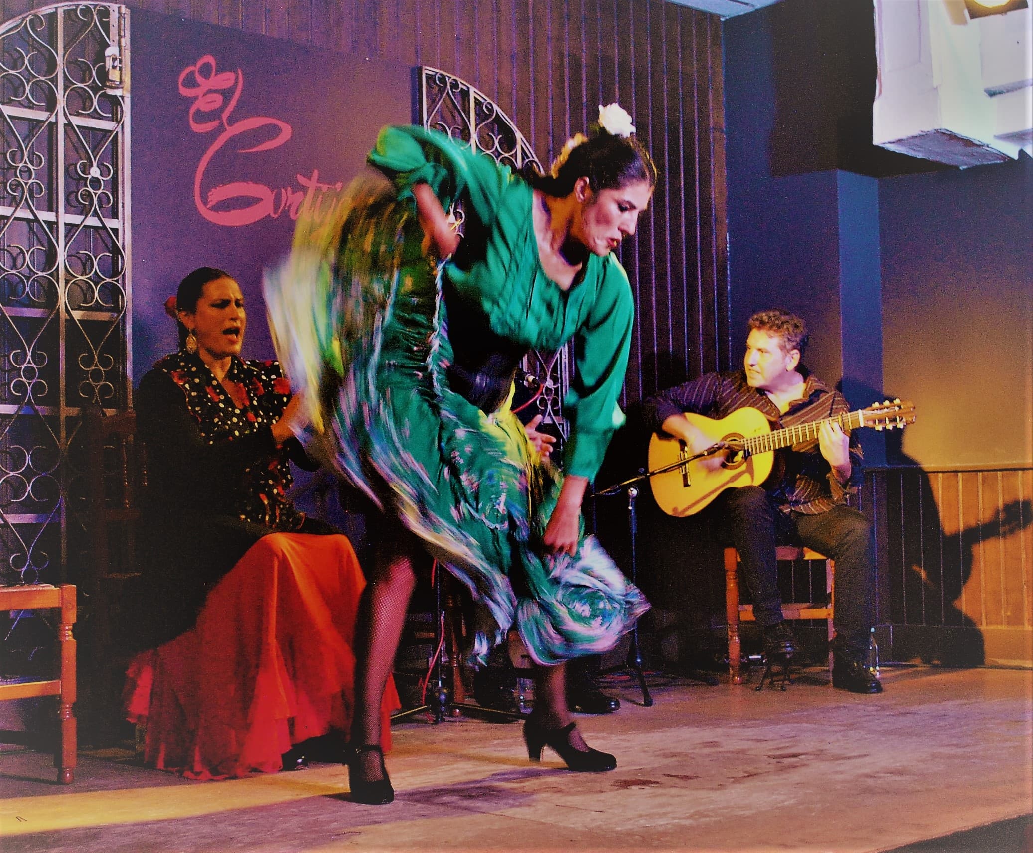 Taberna Flamenca El Cortijo fleet