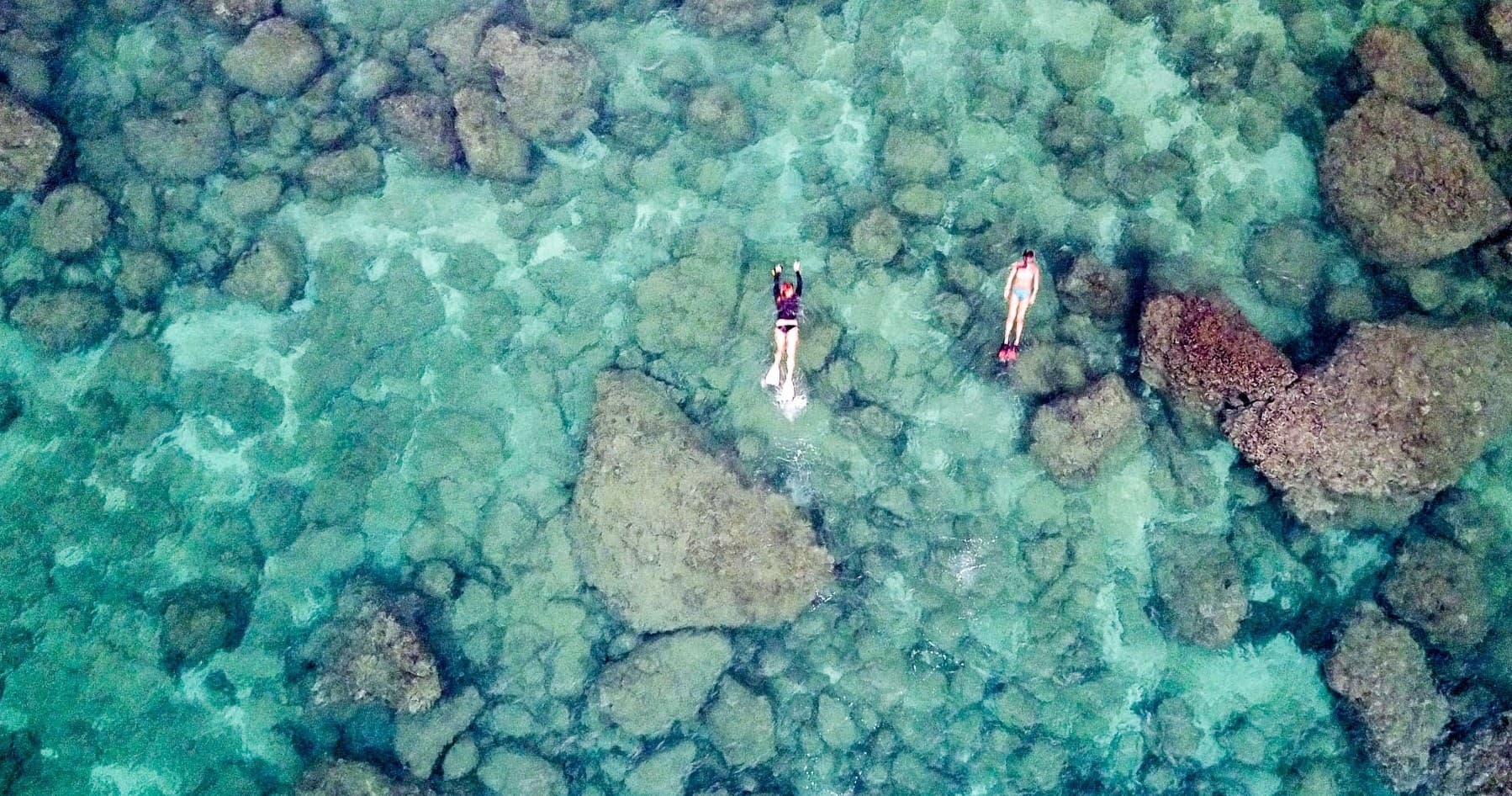 Explore Sharks Cove Snorkeling Adventure in Haleiwa, Hawaii