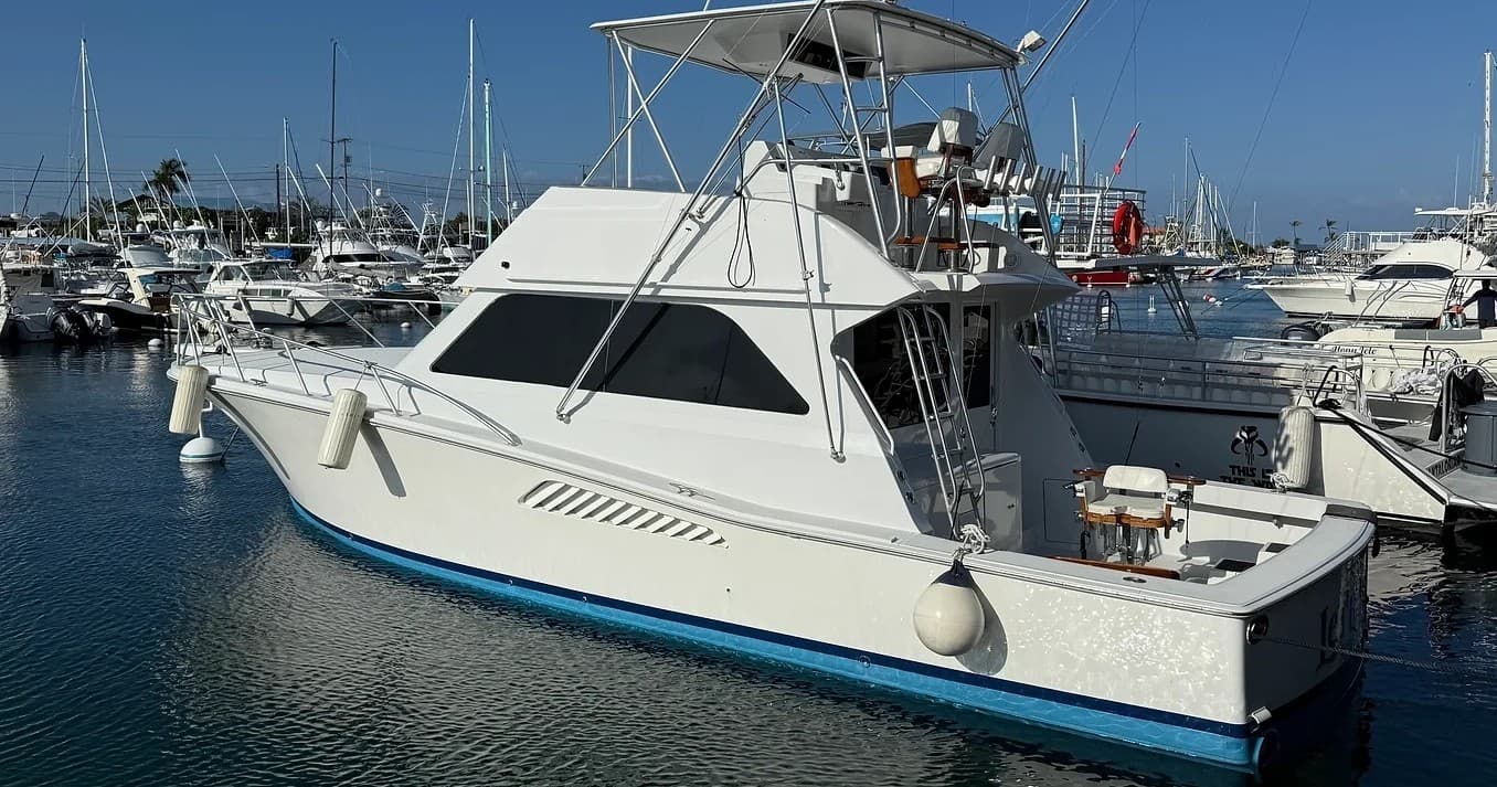 Sportfishing yacht docked at sunny marina for deep-sea trips