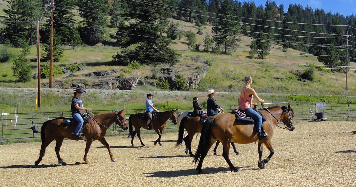 Group riding lesson at outdoor arena near Okanagan hills