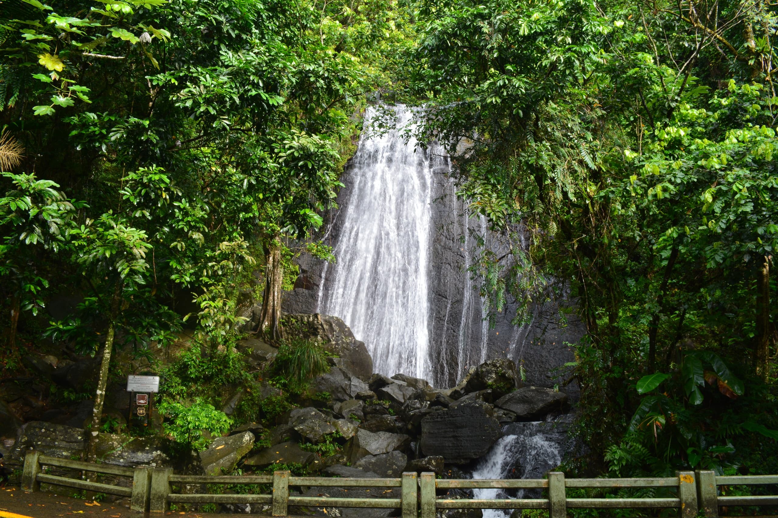 Hikers viewing tropical waterfall surrounded by Puerto Rico rainforest