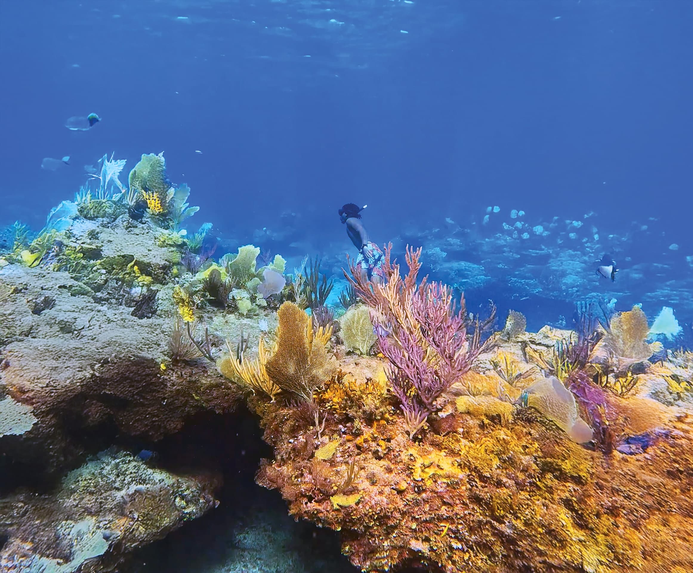 Grace Bay Snorkel Adventure: Barrier Reef & Half Moon Bay Day Trip photo 3