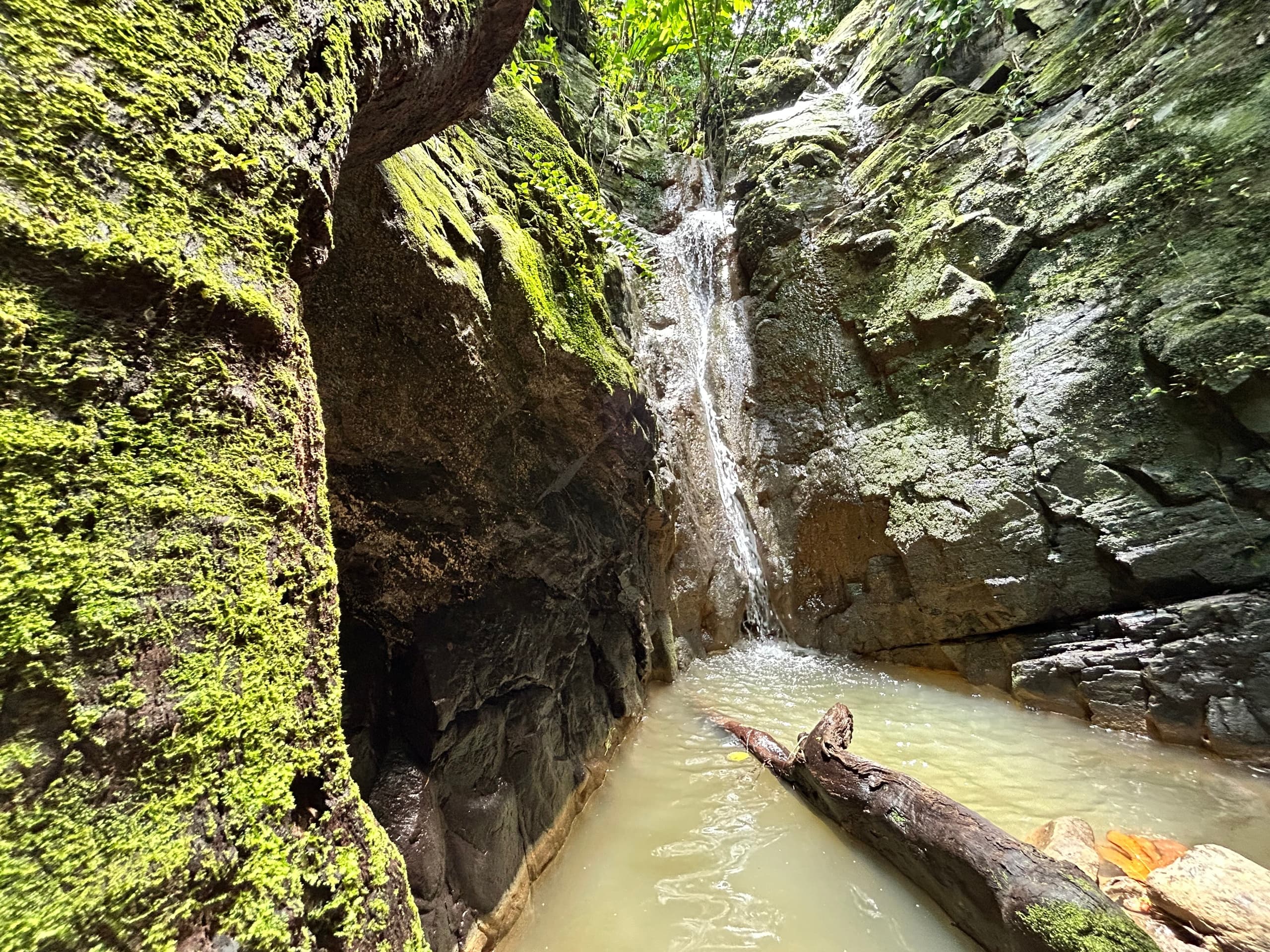 Off-Grid Earthship Tour and Waterfall Hike in Aguada, Puerto Rico