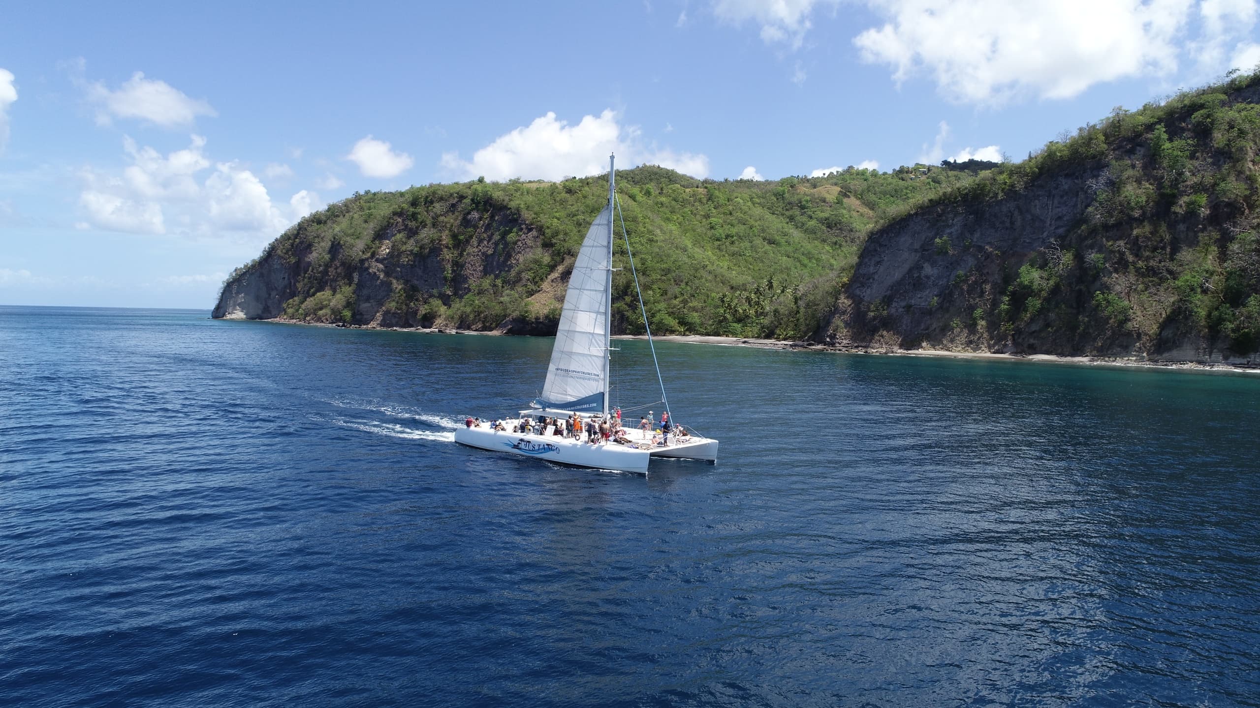 Private Catamaran Charter Aboard Jus Tango with Sea Spray Cruises