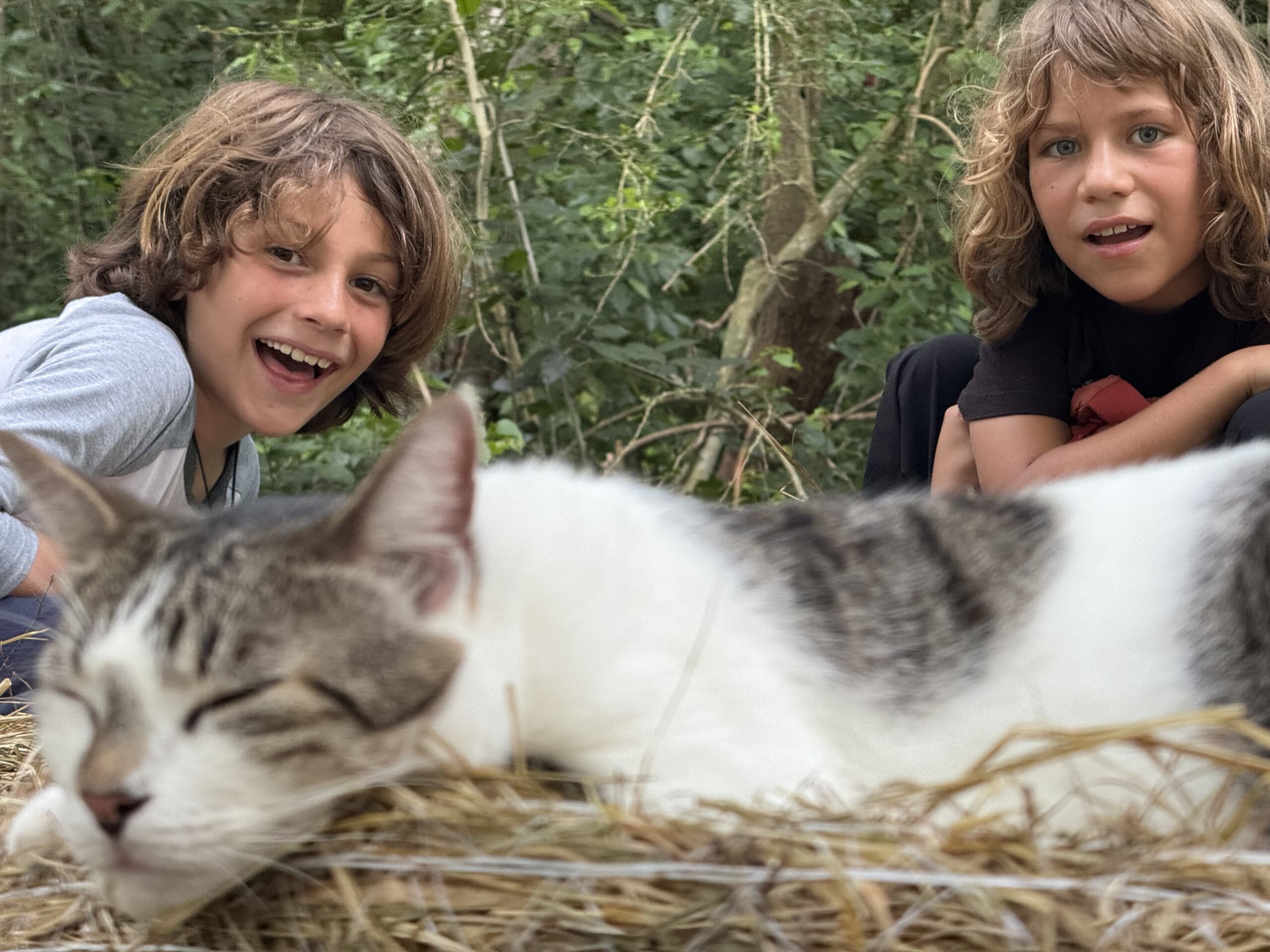 Hacienda Carey Kid's Cowboys Adventure: Hands-On Farm Program for Kids in Aguadilla