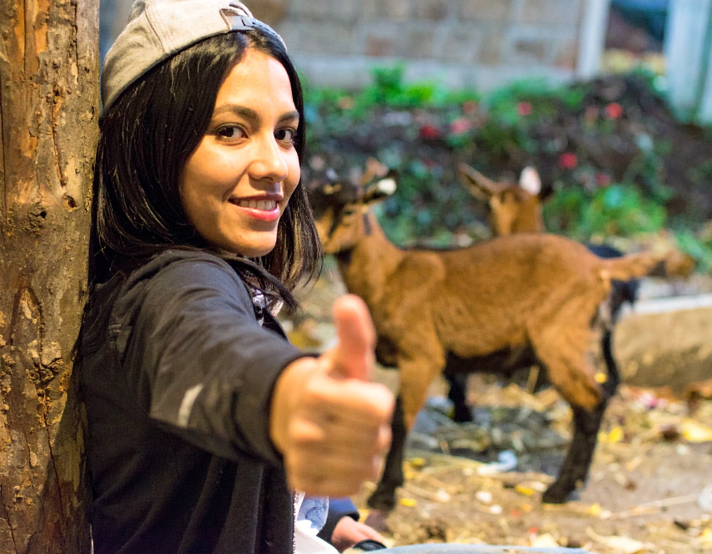 Unwind and Connect: Teen & Tween Farm Evenings at Bracken Hill Farm in Northborough, MA